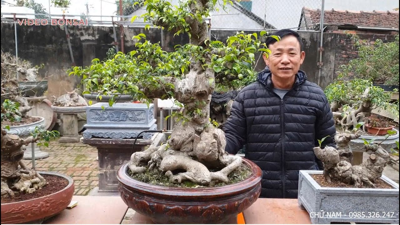 [ VD 359 ] THEO CHÂN ANH SỬ BA THÁ - THĂM VƯỜN CHÚ NAM - CHƯƠNG MỸ - HÀ NỘI.