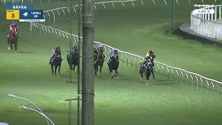 Vidéo de la course PMU PREMIO FOR MERIT