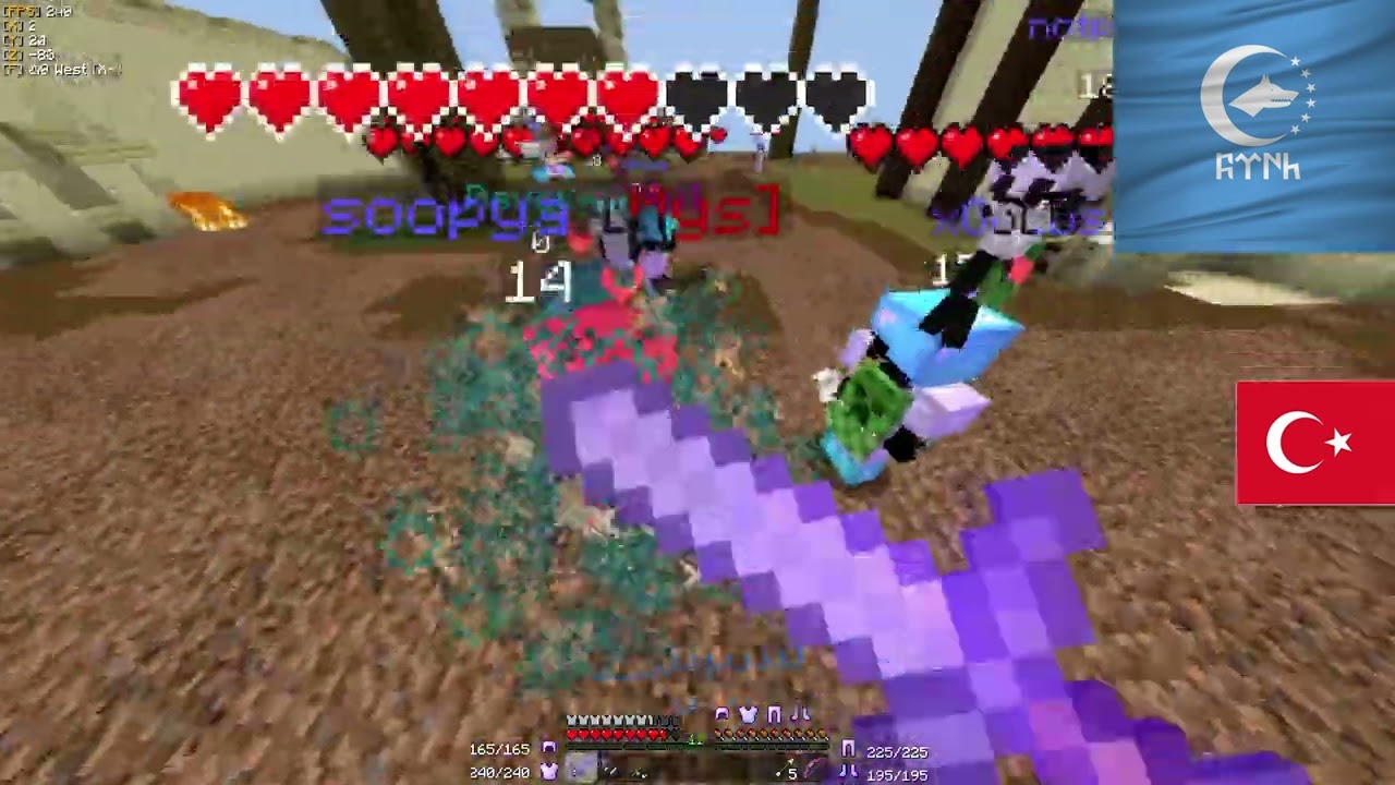 Blocksmc pVp fly