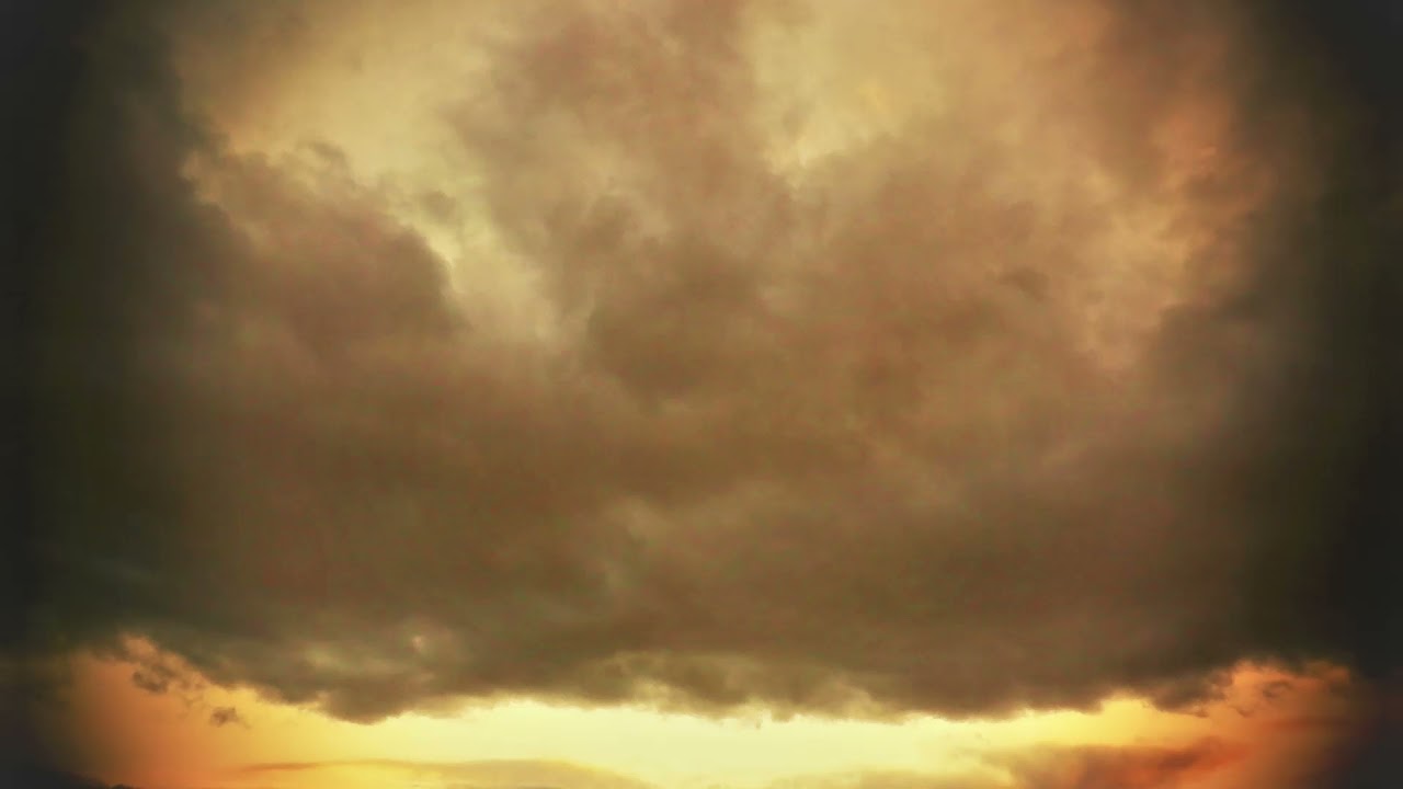 Feathery Tendrils- Forboden