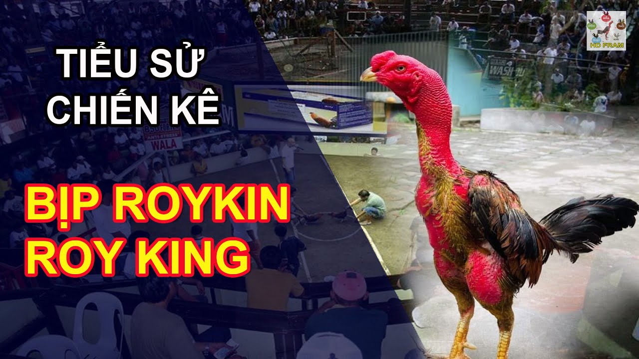 TIỂU SỬ  BỊP ROYKJN - THẦN KÊ BẤT BẠI "  || TOP 1 TIỂU SỬ