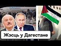 Аэропорт в Махачкале — захват с ограблением. На митинг за Лукашенко никто не пришёл. Дагестан сейчас