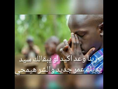 في واحد بحبك نوا بولس كلمة ولحن