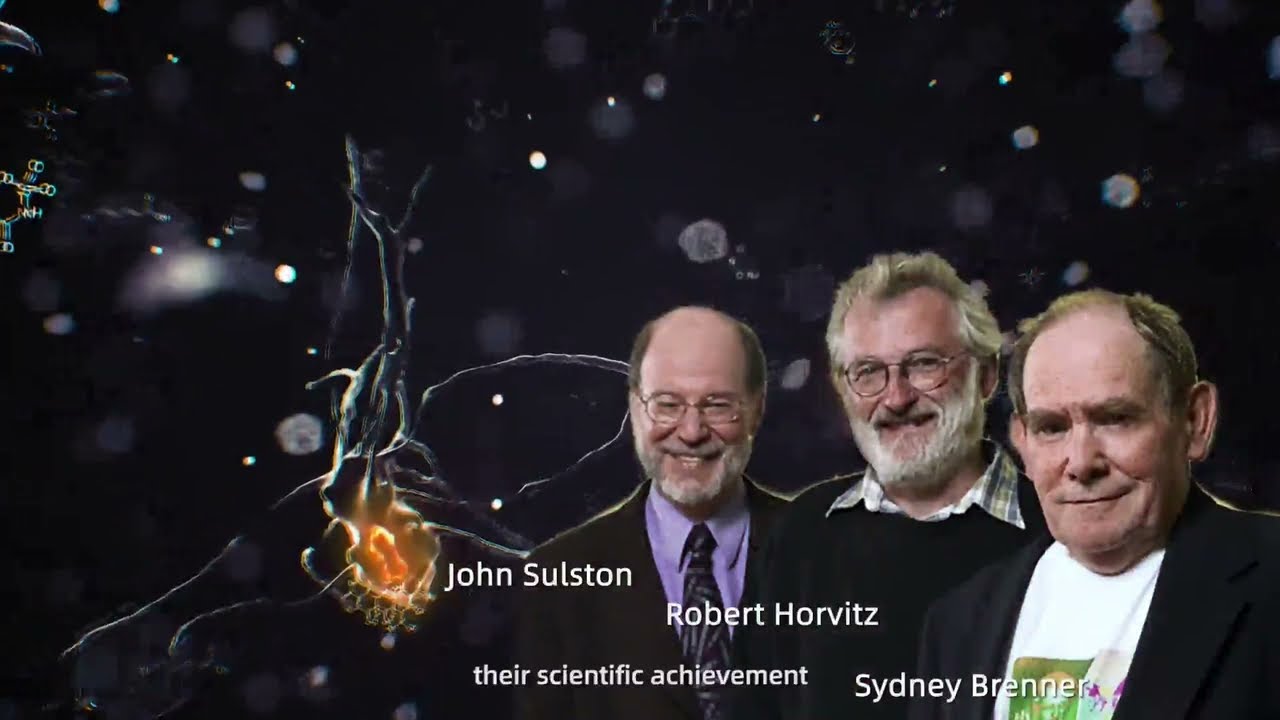 Negative Ion Waterfall Blanket