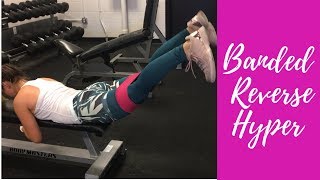 Banded Reverse Hyperextensions | CORE by Liz