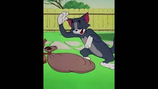Tom & Jerry