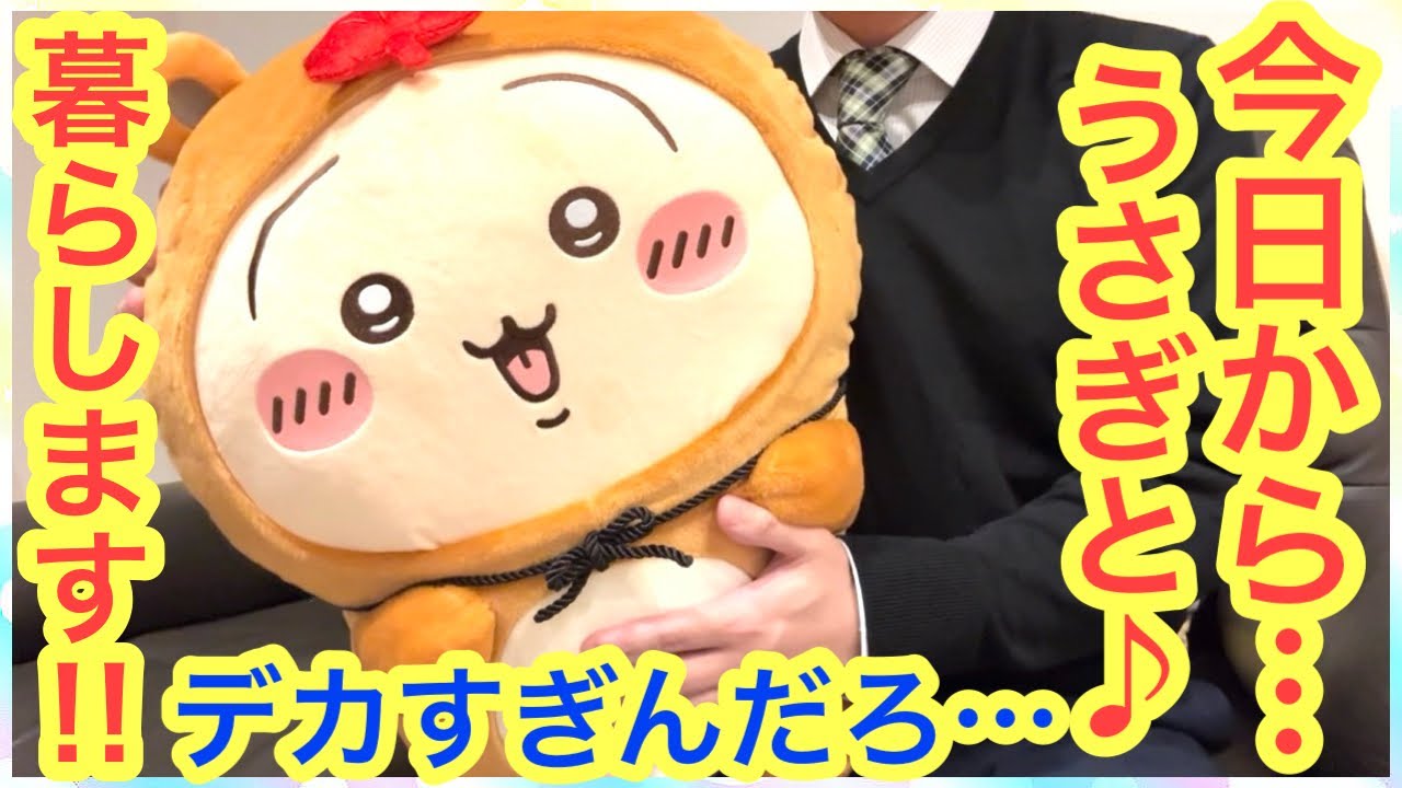 Chiikawa] 25 consecutive Chiikawa Watanukidamon lottery tickets