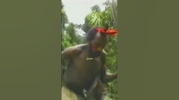 Tribe meets white man for the first time