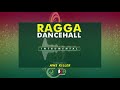 Ragga Dancehall Instrumental - Busy Signal x A Pass x Kristoff Type Beat