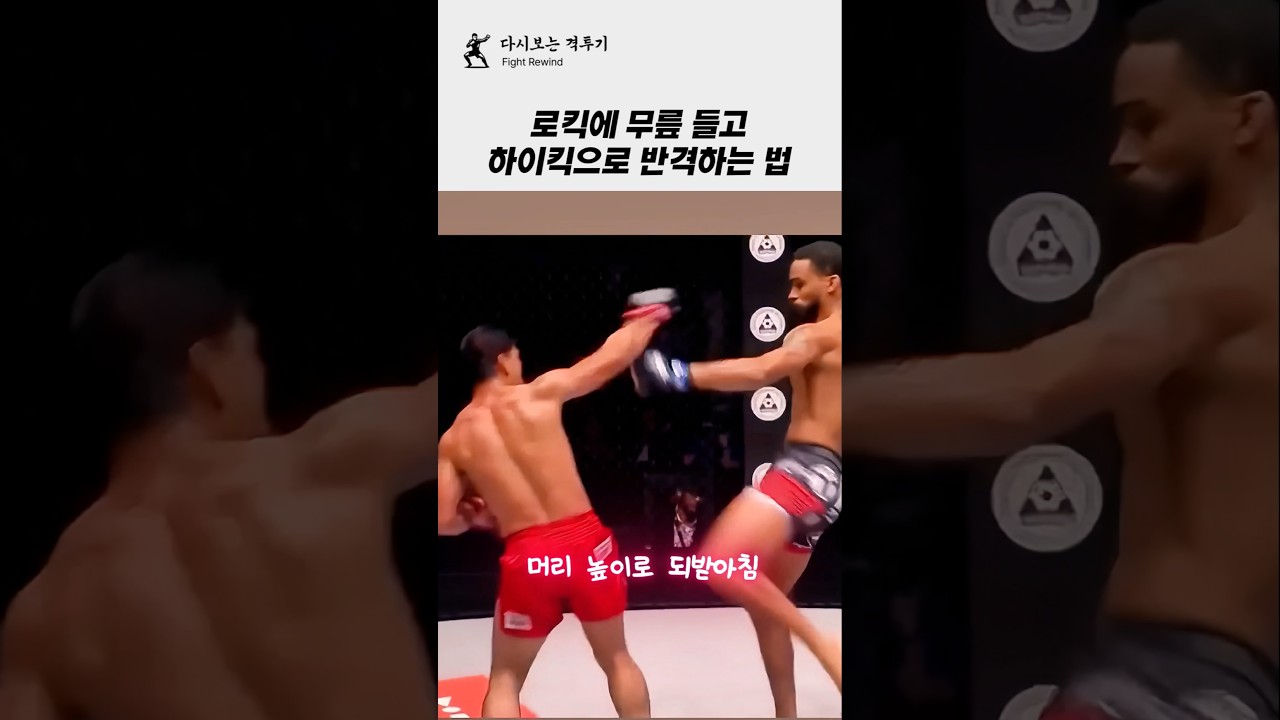 로우킥 방어 후 하이킥으로 반격하는 방법!!ㄷㄷ #격투기