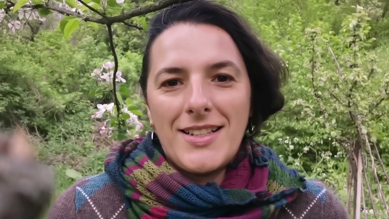 Ce este pedagogia Waldorf