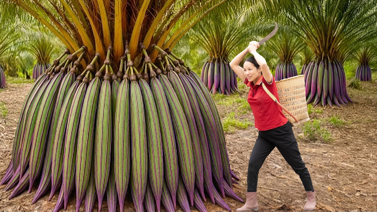 TIME-LAPSE | Harvesting +1000kg Rare Giant Berries, Roast The Whole Berries Over Hot Coals