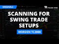 Scanning for Swing Trade Setups in TC2000 - The Trade Risk