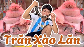 Lấy Hết Can Đảm Thử Món Thịt Trăn Xào Lăn Thơm Ngon Nhức Nách | Nguyễn Nhựt Linh