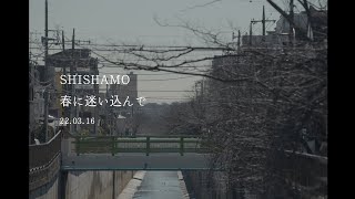 SHISHAMO「春に迷い込んで」Teaser
