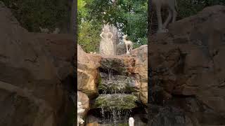 Snow Whites Grotto