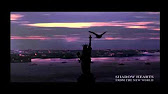 www.youtube.com