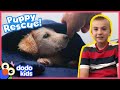 Little Puppy Won’t Stop Acting Tough, But Finally Lets Himself Be Rescued | Rescued! | Dodo Kids