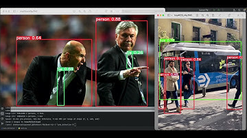 Object Detection using Pytorch YOLO #youonlylookonce