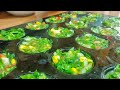 MUFFINS SALUDABLES de espinaca - Cupcakes salados de verdura