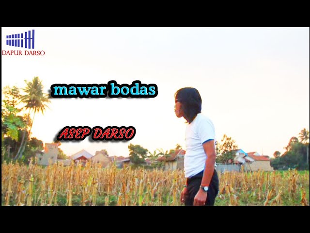 Asep Darso - Mawar Bodas | (Calung) | (Official Video) class=