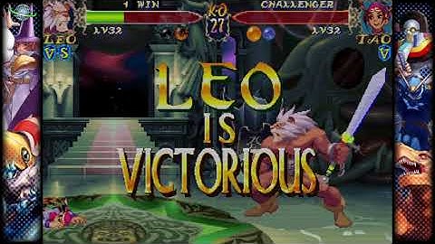 CAPCOM FIGHTING COLLECTION  Gem Fighter, Warzard Double