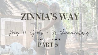 Part 5 - My 33 Goats - A Documentary in 8 Parts - by Ronda Szymanski