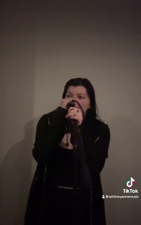 I Don t Care Fall Out Boy YouTube i-don-t-care-fall-out-boy-youtube