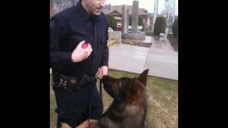Kamloops RCMP Const. Dave Lewis and his police service dog Zak