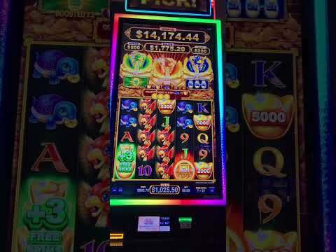 Yukon Gold wms