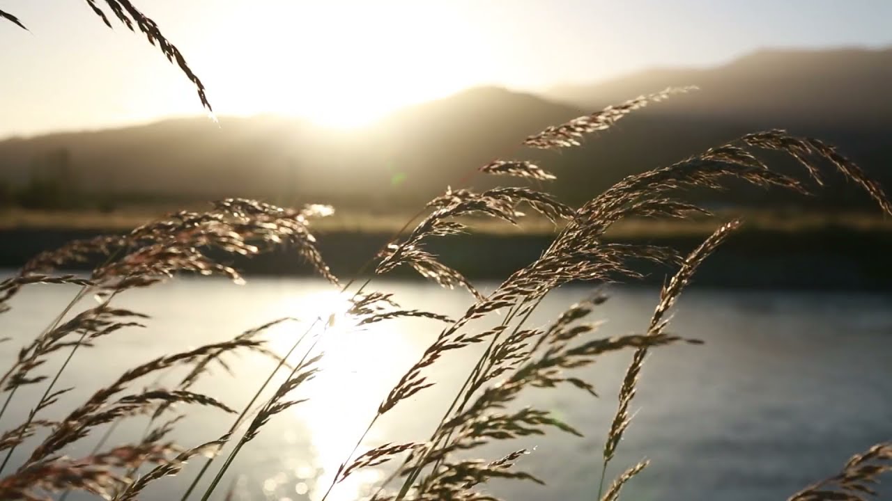 Ах ты степь широкая Рок версия - YouTube