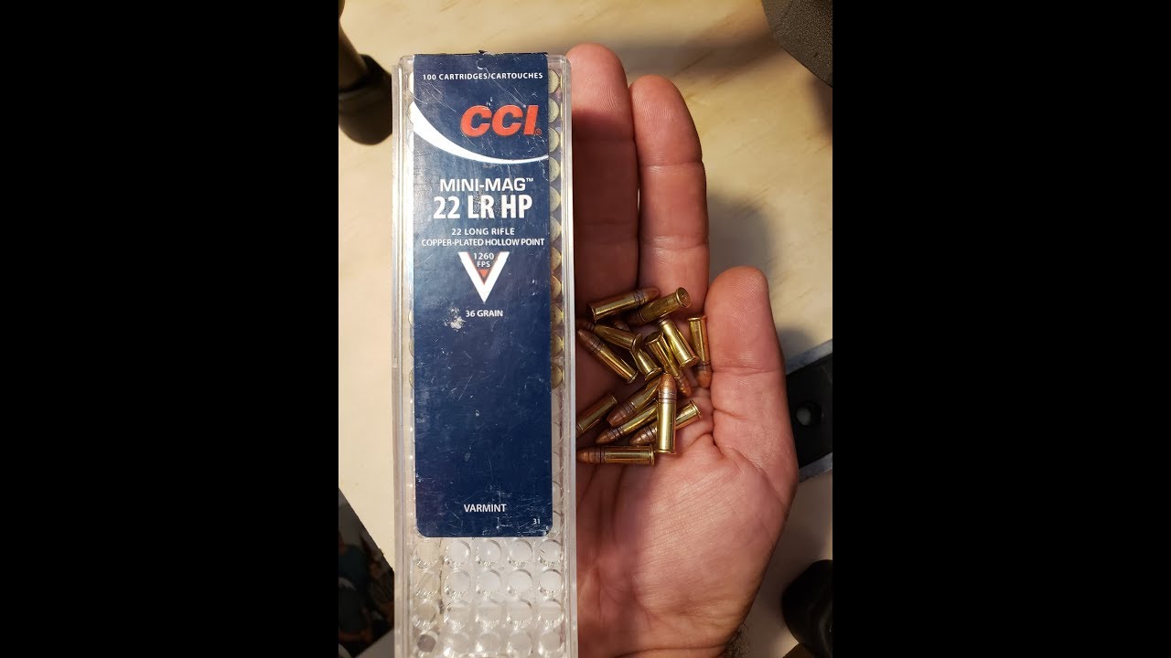 Squirrel Hunting Ammo CCI Minimag Hollowpoint YouTube