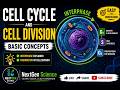 🧬 Cell Cycle Made EASY! | Interphase (G₁, S & G₂) Explained | Biology Basics | Part 1