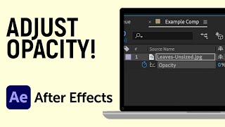 How to Adjust Opacity of a Layer or Clip in Adobe After Effects