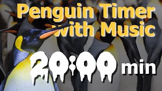 20-Minute Penguin Timer - Escape with Calming Music screenshot 4