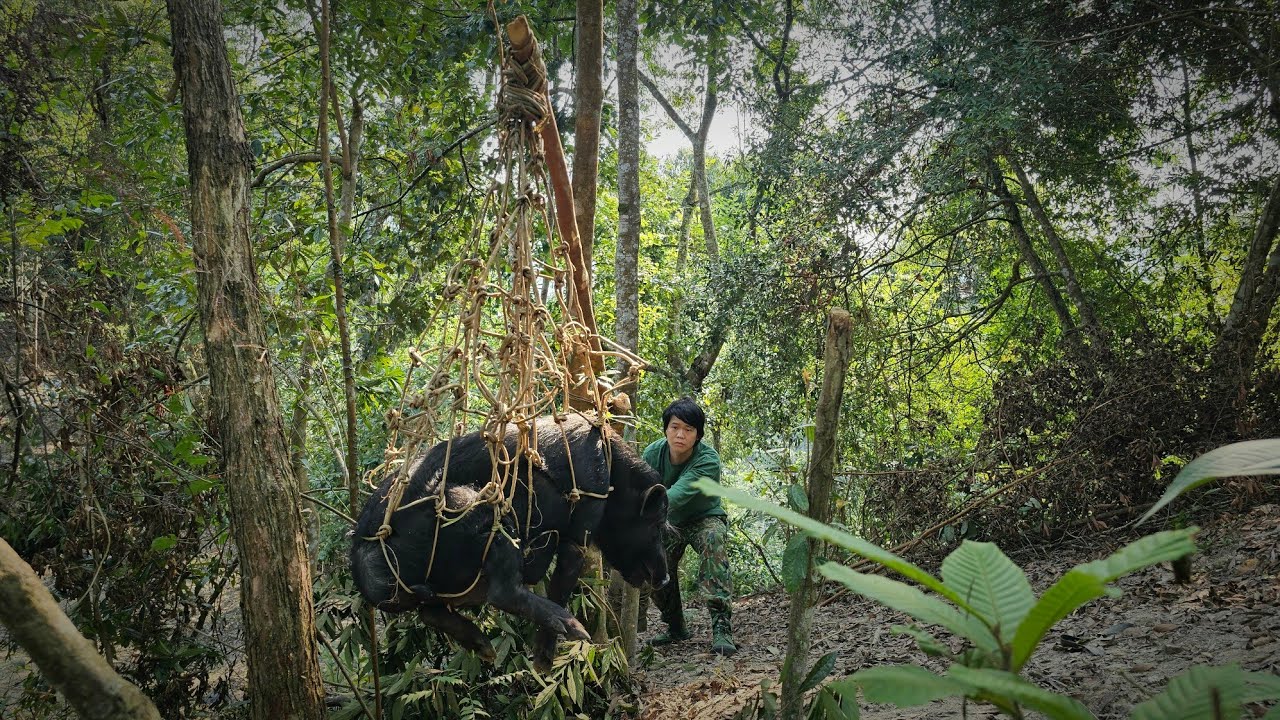 trapping wild boars with vines, night hunting, stream fish, stream crabs, confronting wild boars.