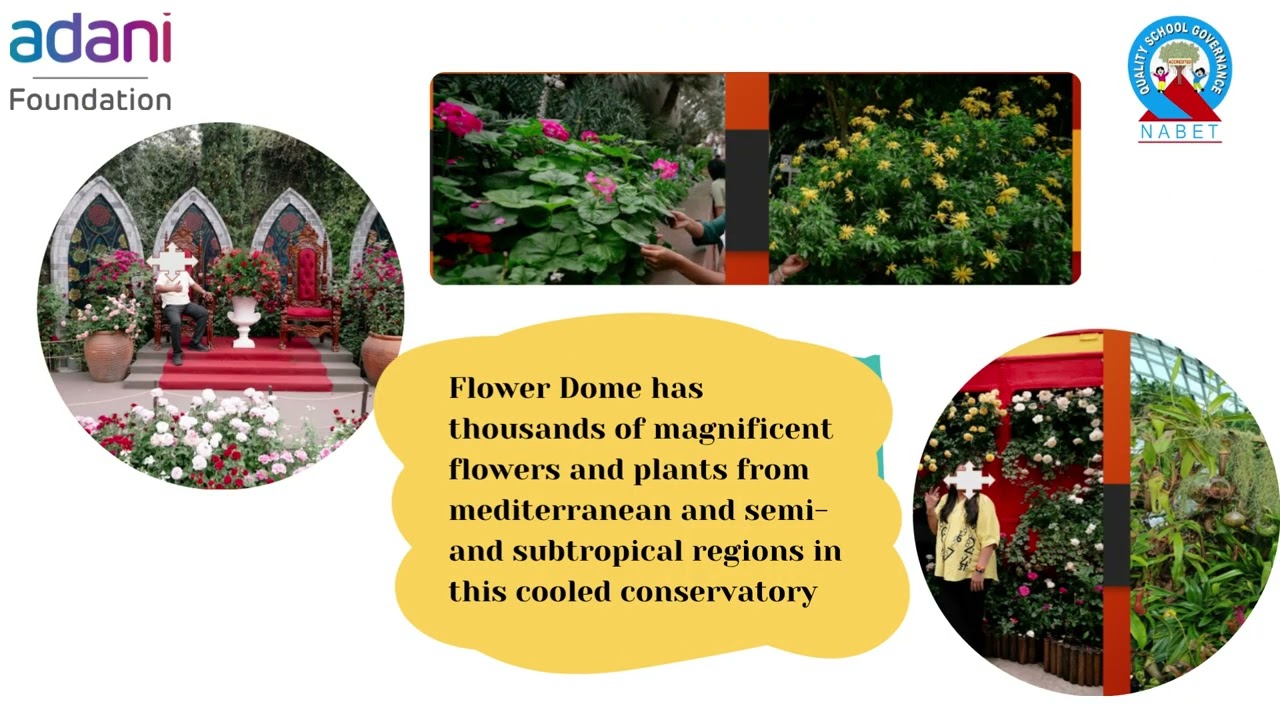 Key insights for the Phase 5 STEM Training Session