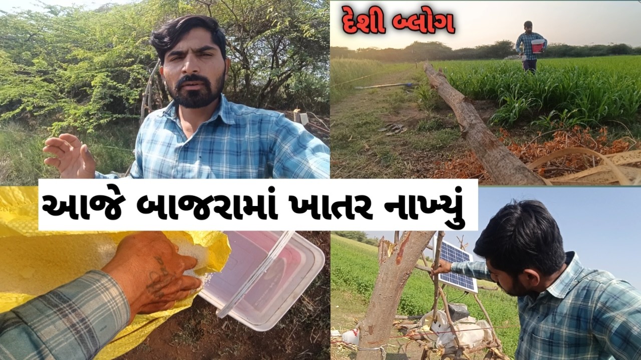 ખાતર નાખ્યું આજે બાજરામાં || #vlog #viralvideo #deshivlog