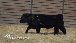 Lot 8 - Hcka Mr Fedex 814F