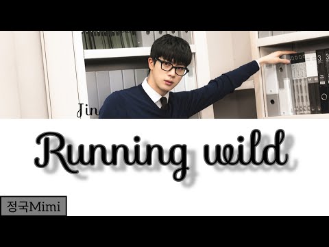 Jin "Running wild"  Lyrics (Color coded lyrics)