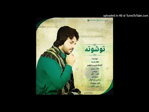 نظام فریاد تو شوته ۲۰۱۹