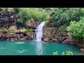 Waimea valley waterfall and botanical garden  peacock  north shore  oahu  hawaii  04242021