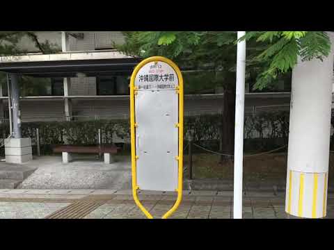 マーケットピア ファミリーマート 中部商業高校前店 宜野湾市 の周辺施設動画一覧