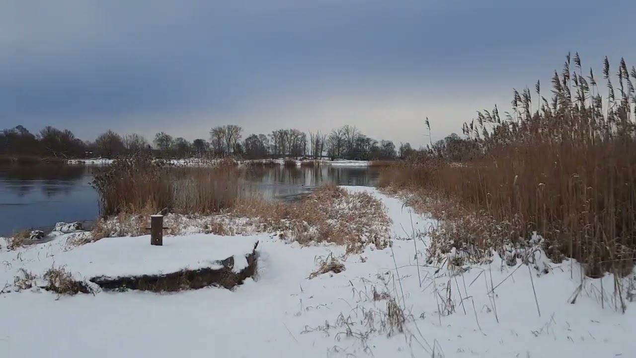 Während einer Winterwanderung an der Oder, 05.01.2026