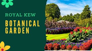 Behind the Glass: inside Kew’s palm house