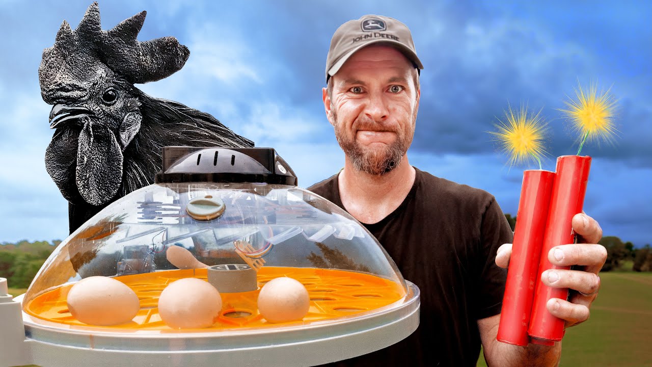 Взрываем худший инкубатор в истории!