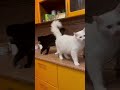 Засекли нас Засекли нас