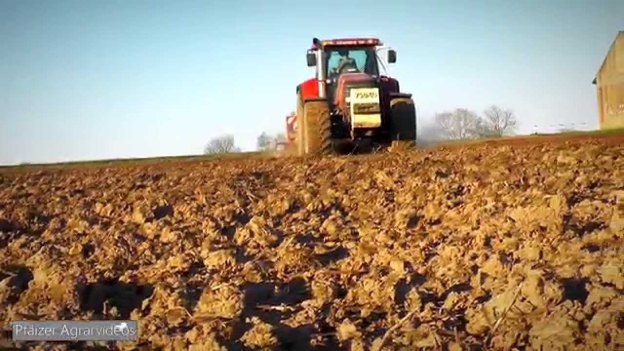 Maisland Grubbern mit CASE CVX 1155 + HORSCH TERRANO 3FX