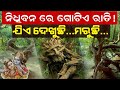 Nidhivan Vrindavan | ନିଧିବନ | 10  Secrets of Nidhivan | Radhe Radhe  | Satya Bhanja