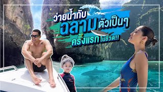 [ แดนเนรมิต Ep.110 ] - ตามล่าหาฉลาม ที่เกาะพีพี